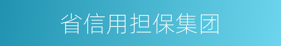 省信用担保集团的同义词