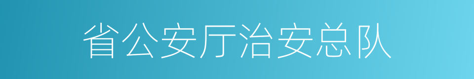 省公安厅治安总队的同义词