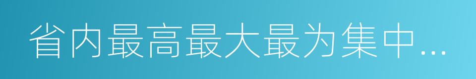 省内最高最大最为集中的千年古榕树群的同义词