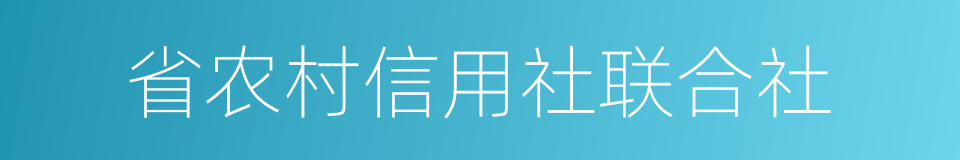 省农村信用社联合社的同义词