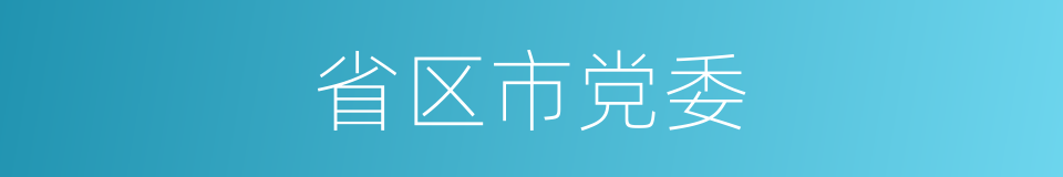 省区市党委的同义词