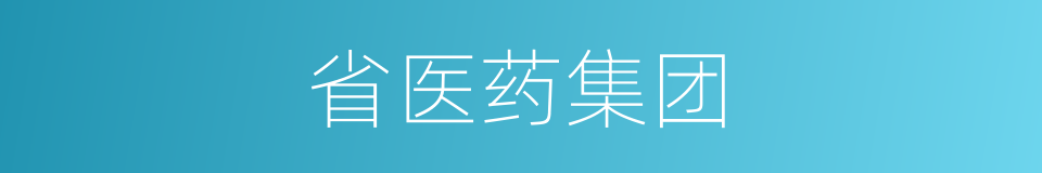 省医药集团的同义词