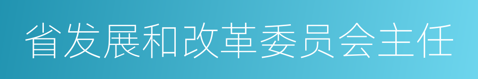 省发展和改革委员会主任的同义词