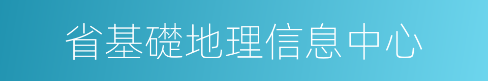 省基礎地理信息中心的同義詞