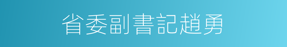 省委副書記趙勇的同義詞