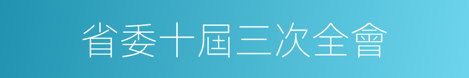 省委十屆三次全會的同義詞