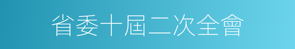 省委十屆二次全會的同義詞