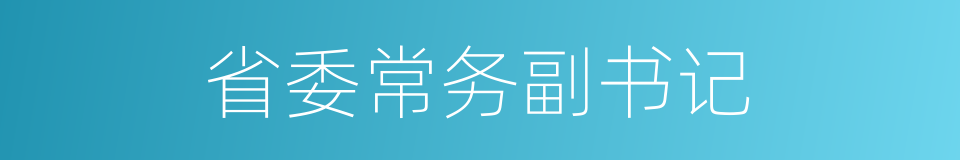 省委常务副书记的同义词