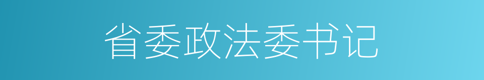 省委政法委书记的同义词