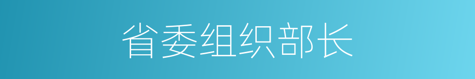 省委组织部长的同义词