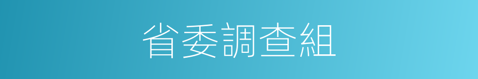 省委調查組的同義詞