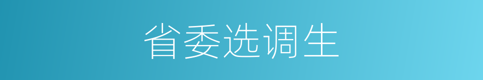 省委选调生的同义词