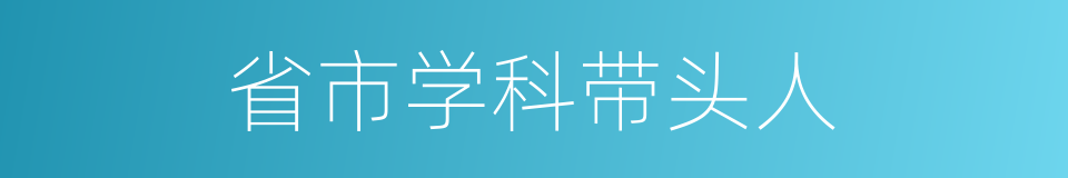 省市学科带头人的同义词