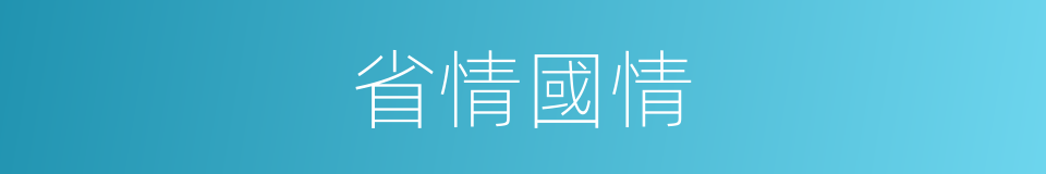 省情國情的同義詞