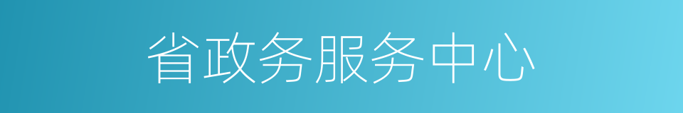 省政务服务中心的同义词