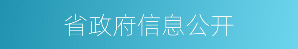 省政府信息公开的同义词