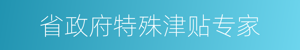 省政府特殊津贴专家的同义词