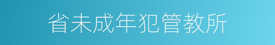 省未成年犯管教所的同义词