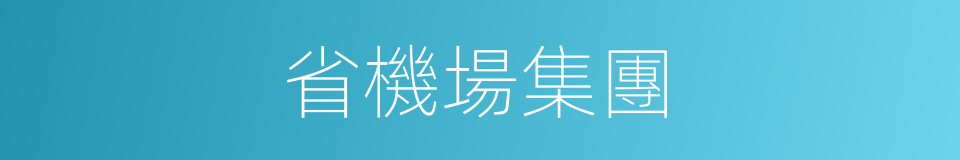 省機場集團的同義詞