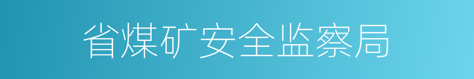 省煤矿安全监察局的同义词