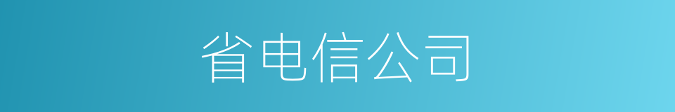 省电信公司的同义词