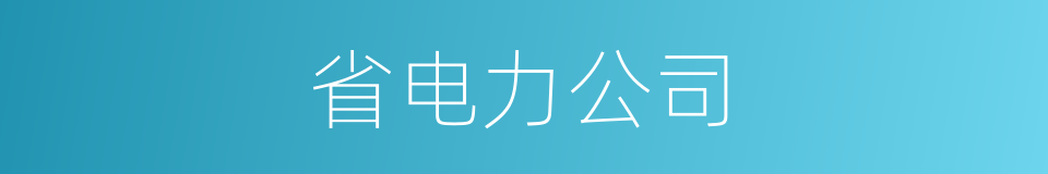 省电力公司的同义词