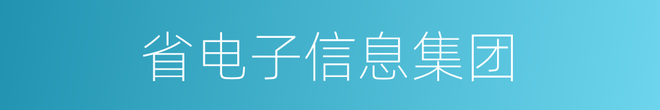 省电子信息集团的同义词