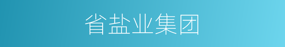 省盐业集团的同义词