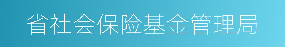 省社会保险基金管理局的同义词