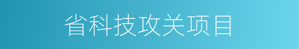 省科技攻关项目的同义词