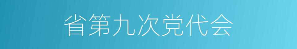 省第九次党代会的同义词