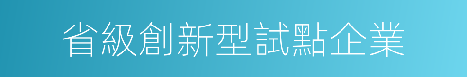 省級創新型試點企業的同義詞