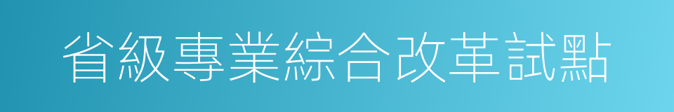 省級專業綜合改革試點的同義詞