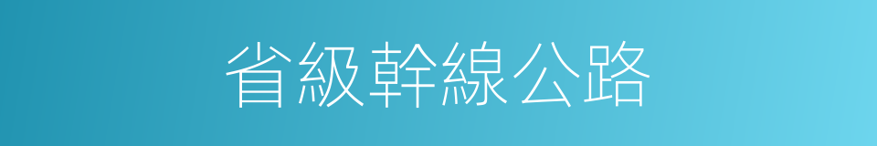 省級幹線公路的同義詞