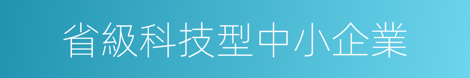 省級科技型中小企業的同義詞