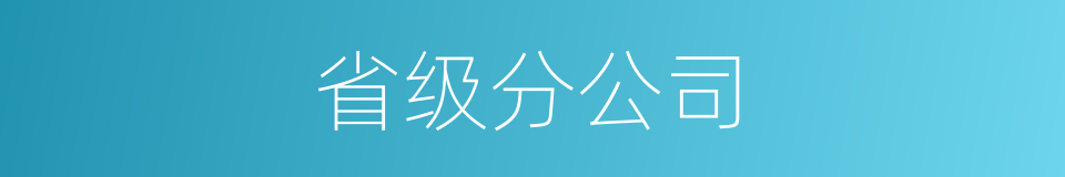 省级分公司的同义词