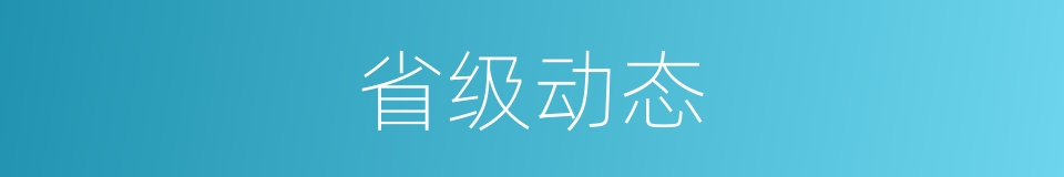 省级动态的同义词