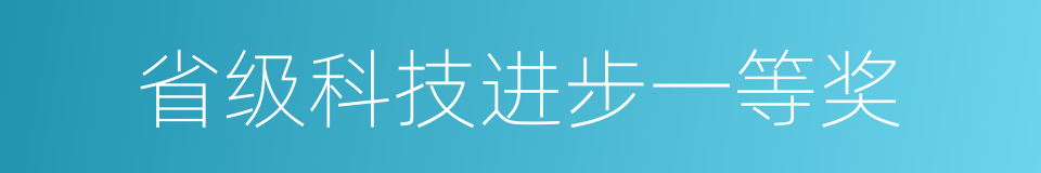 省级科技进步一等奖的同义词