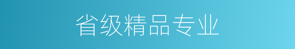 省级精品专业的同义词