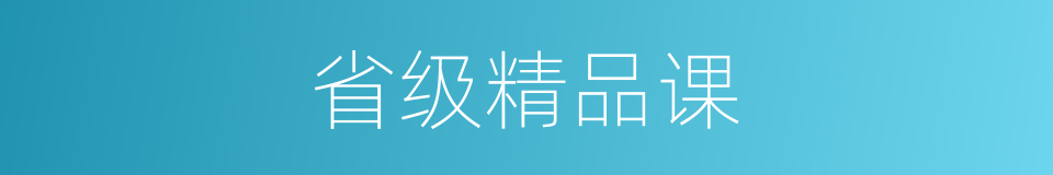 省级精品课的同义词