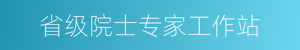 省级院士专家工作站的同义词