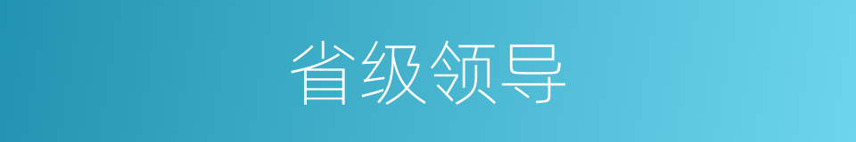省级领导的同义词
