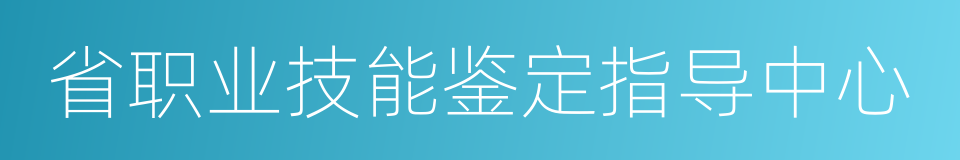 省职业技能鉴定指导中心的同义词