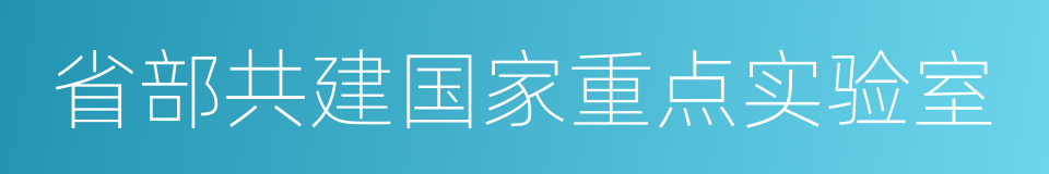 省部共建国家重点实验室的同义词