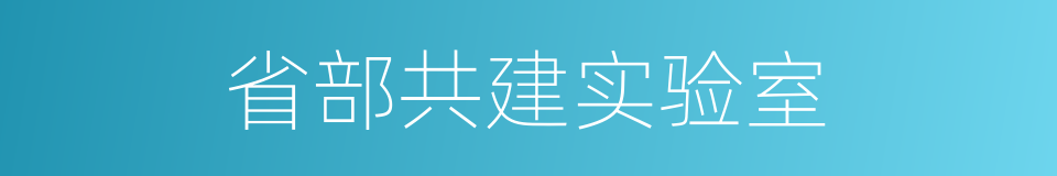 省部共建实验室的同义词