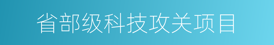 省部级科技攻关项目的同义词