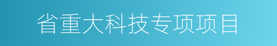 省重大科技专项项目的同义词