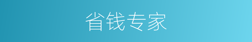 省钱专家的同义词