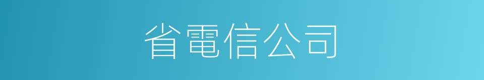 省電信公司的同義詞