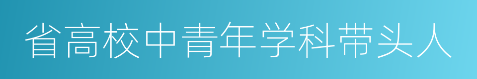 省高校中青年学科带头人的同义词